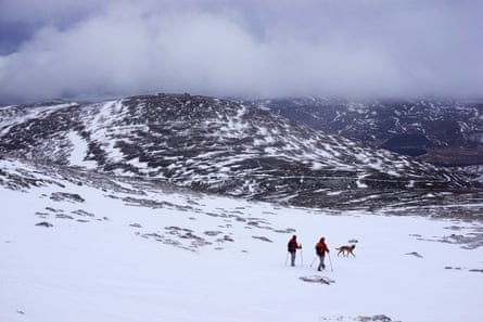 Sam, Paul and Rogue on a snowy landscape