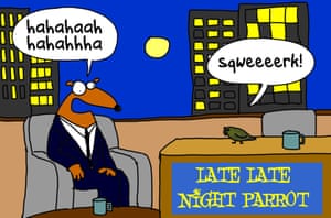 A night parrot at a late-night talkshow
