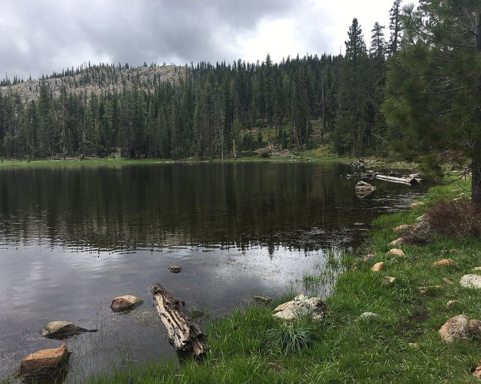 Kidnapped US Forest Service employees released after more than 12 hours, say authorities