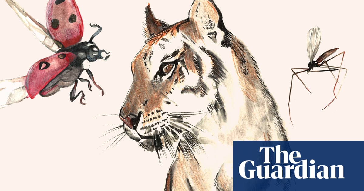 What Is Biodiversity And Why Does It Matter To Us News The