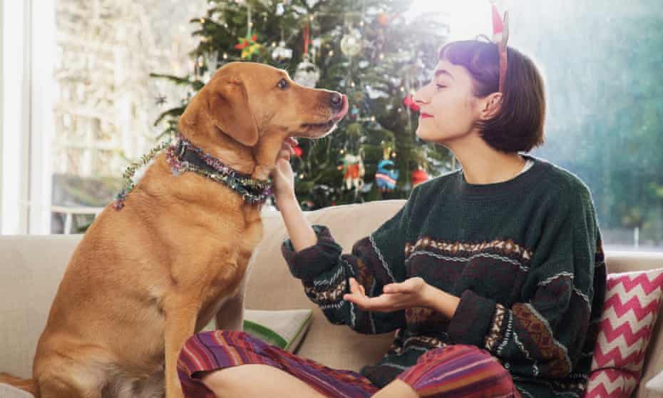 woman, Christmas tree and dog