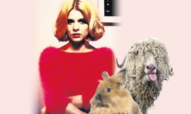 Mohair no wear … great jumper – but at what cost to the animals involved?