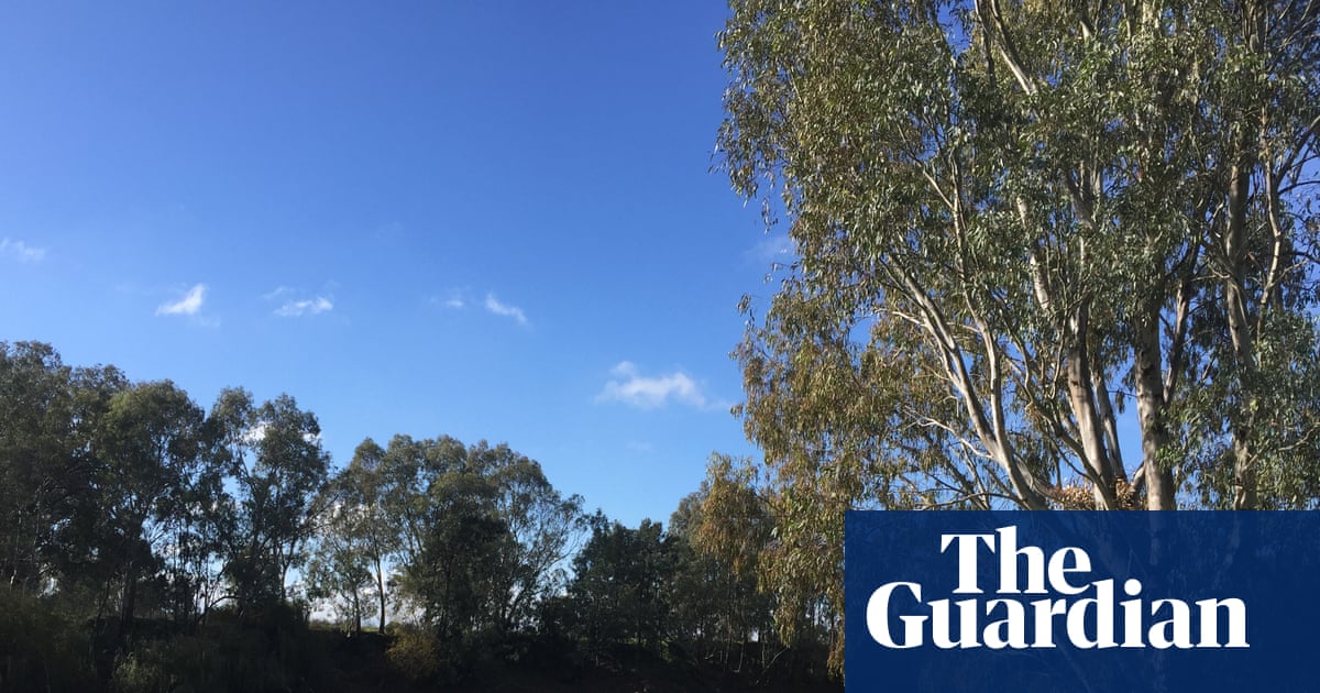 Baby found dead at Wagga beach homeless encampment as mother and another infant taken to hospital Baby found dead at Wagga beach homeless encampment as mother and another infant taken to hospital