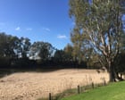 Bebê encontrado morto em acampamento de sem-teto em Wagga Beach