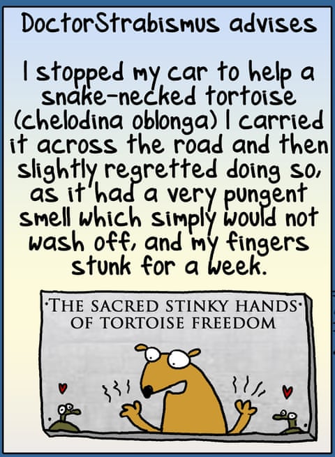 Cartoon by First Dog on the Moon titled Kindness Redux, panel 7