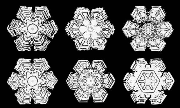 Wilson Bentley's pictures of a series of plate snowflakes, circa 1902. Source: The Guardian
