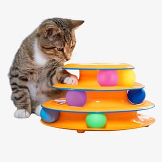 Your indoor cat is bored. Here are toys and tools to fix that | cats 1000