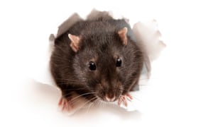 Rat poison is among the chemicals on the list.