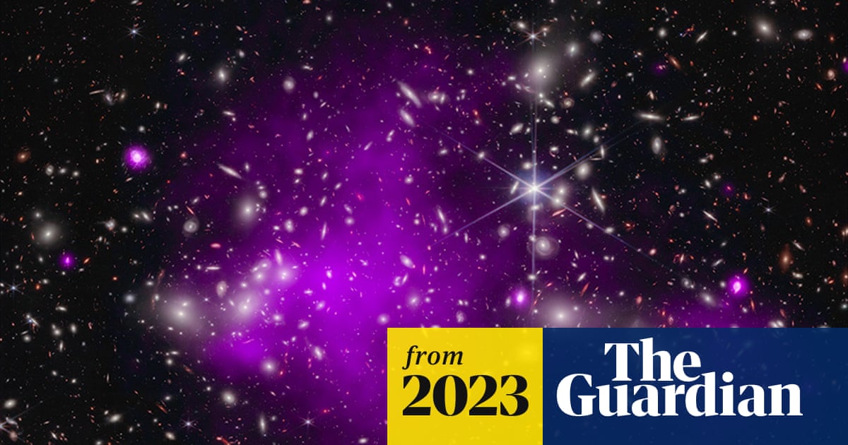 www.theguardian.com