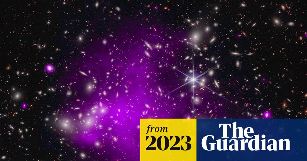 www.theguardian.com
