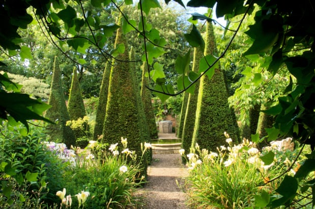 A display of tall, conical topiary on a garden path, with white flowers in the foreground