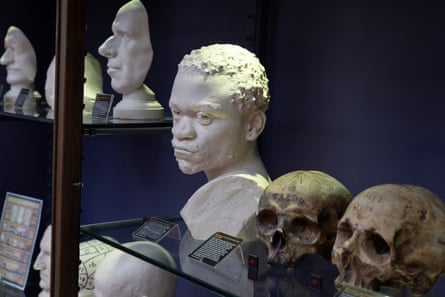 Masks, models and skulls in showcase