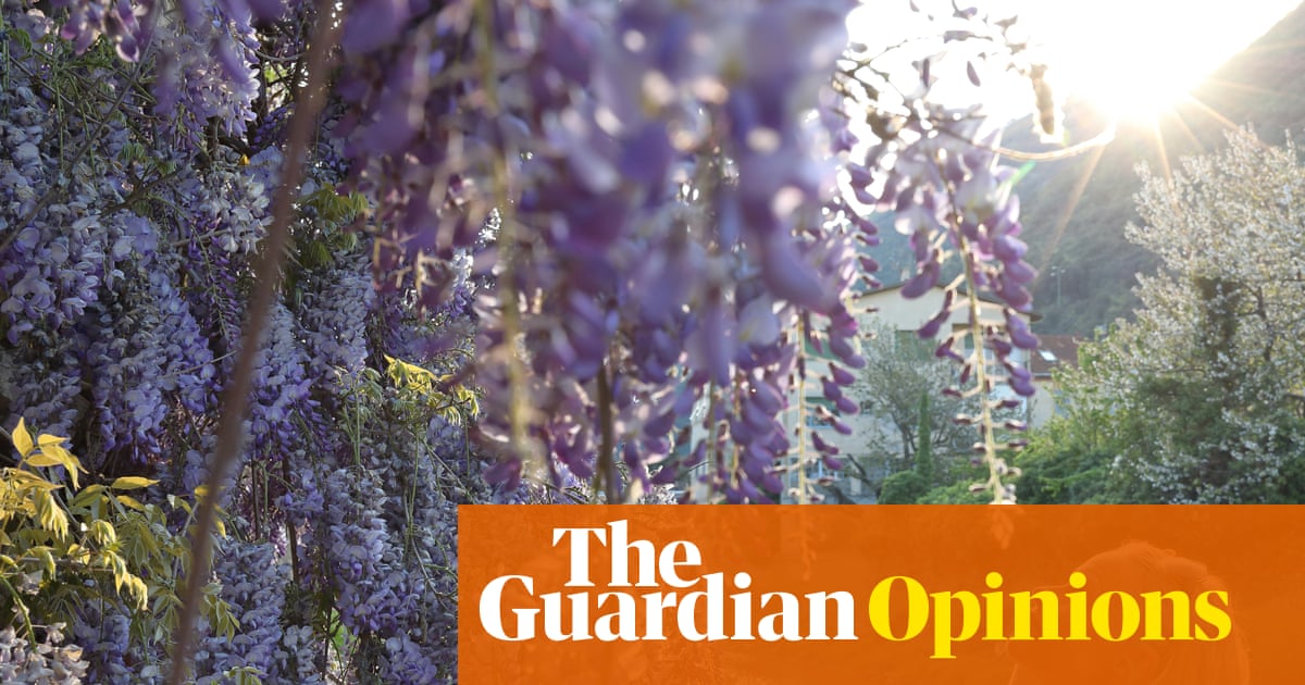 Stopping to admire wisteria and taking pride in your laundry? Join me in the land of grownups | Polly Hudson