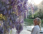 Stopping to admire wisteria and taking pride in your laundry? Join me in the land of grownups | Polly Hudson