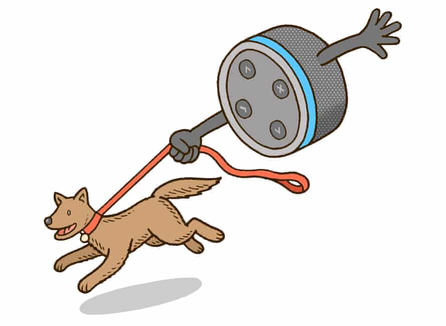 dog runnig off with an alexa speaker