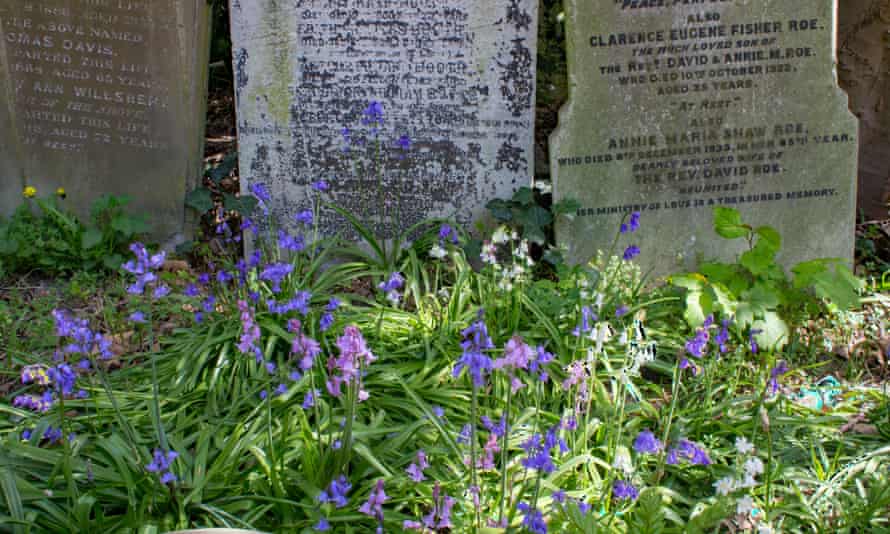 Tower Hamlets Cemetery Park.