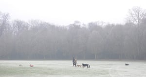 Beckenham Place Park in south London provides a frosty, foggy setting for walking dogs