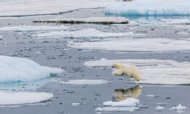The plaintiffs say that allowing oil companies to drill in the Arctic risks undermining global efforts to address climate change. 
