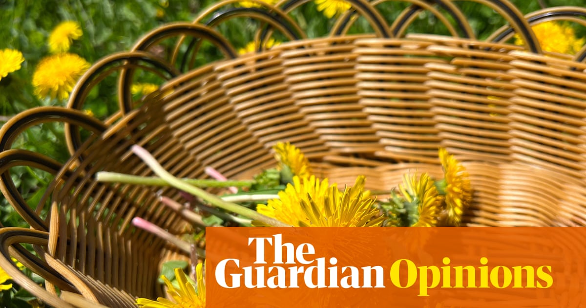 I'm feasting on the contents of hedgerows like a horse in plimsolls and I've never felt so healthy | Nell Frizzell