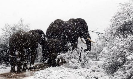 A cold front in South Africa last week saw snow fall across parts of the country.