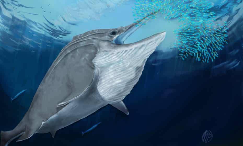 Reconstruction of a giant ichthyosaur from the late Triassic period