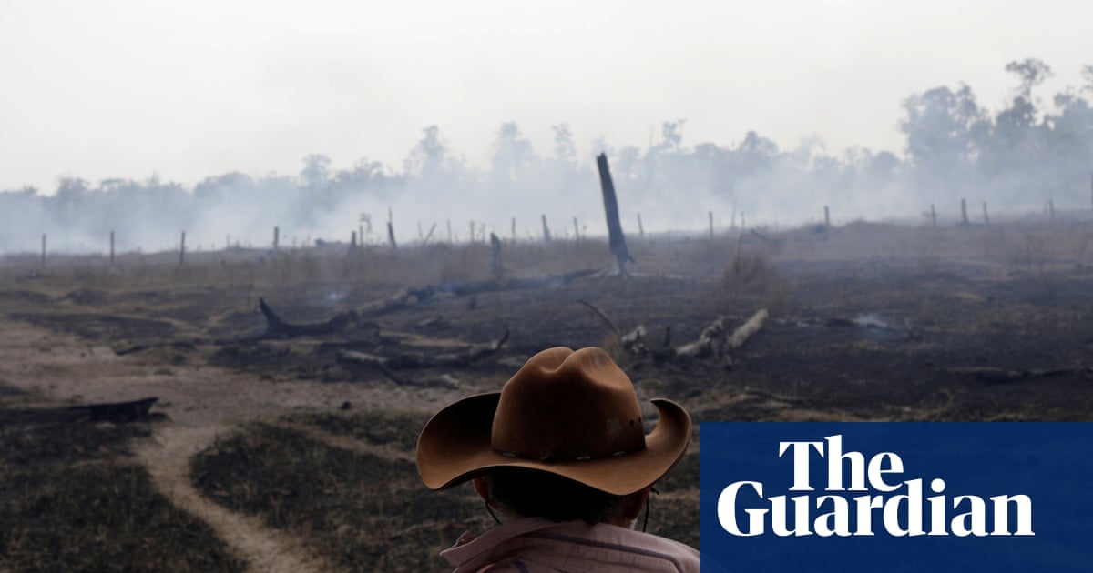 Investors drop Brazil meat giant JBS