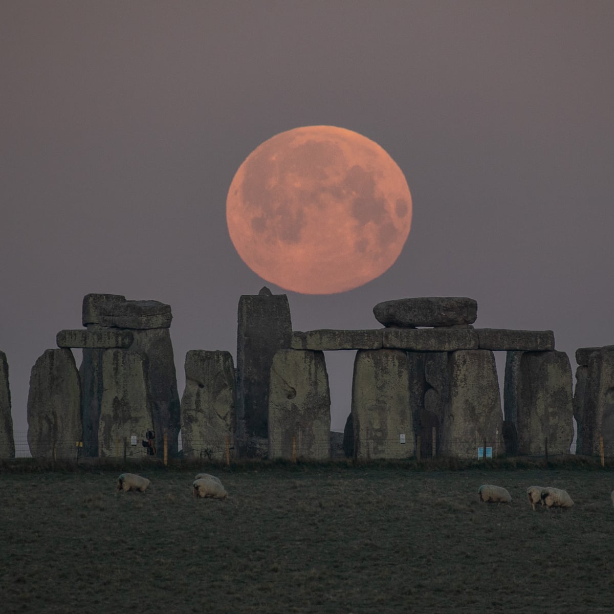 Why Is Tonight S Full Moon Called A Pink Supermoon The Moon The Guardian Why Is Tonight S Full Moon Called A Pink Supermoon The Moon The Guardian