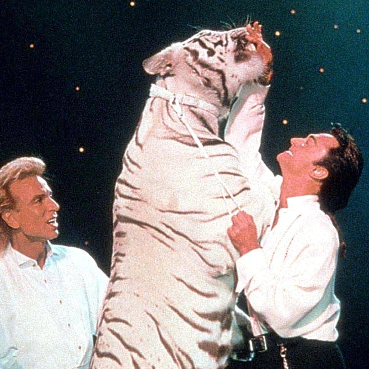 It took four men and a fire extinguisher to get the tiger off him': the  tragedy of Vegas magicians Siegfried and Roy | Podcasts | The Guardian