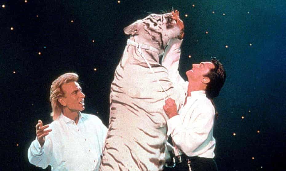 ‘No one has ever properly examined their story – or the attack – in depth’ … Siegried, left, and Roy onstage with one of their jungle cats.