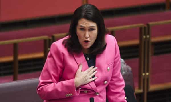 Labor senator Deborah O’Neill says final foreign investment decisions should instead be made by cabinet ‘at the very least’.