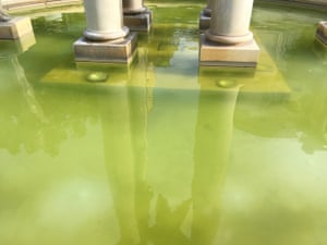 Fountain, Nimes, by Michael Stipe.