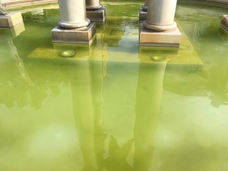 Fountain, Nimes, by Michael Stipe.