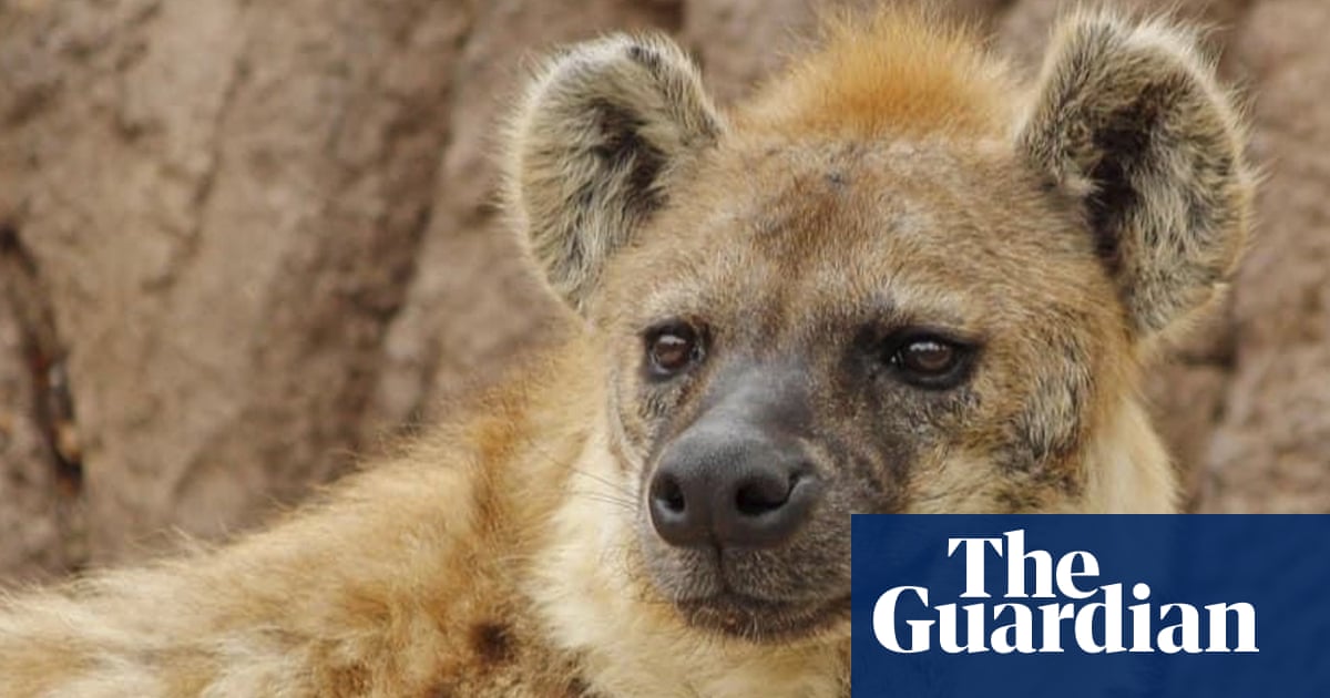 1791.jpg?width=1200&height=630&quality=8