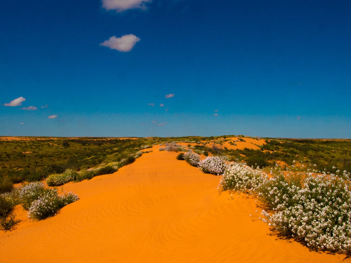 Munga-Thirri-Simpson desert declared Australia's biggest national park  after 10-year campaign | South Australia | The Guardian