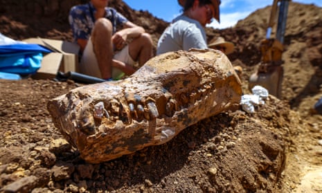 Discovered in outback Queensland, the skull, neck and front half of the body of the elasmosaur were found preserved together.
