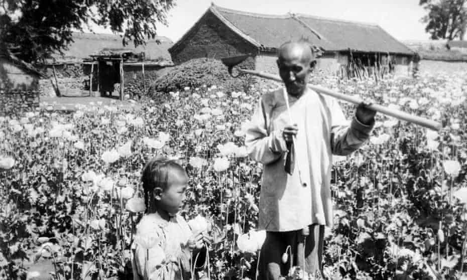 An opium poppy field In Manchuria around 1925-1935.