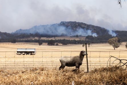 Bushfire smoke is seen near Longwood