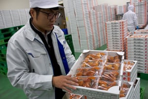 Takeshi Haga with a tray of dried persimmons.