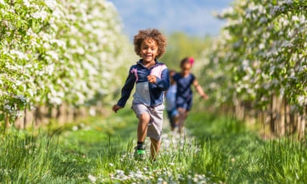 children running in orchard