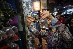Hong KongA woman looks at fish for sale at the goldfish market in the Kowloon district