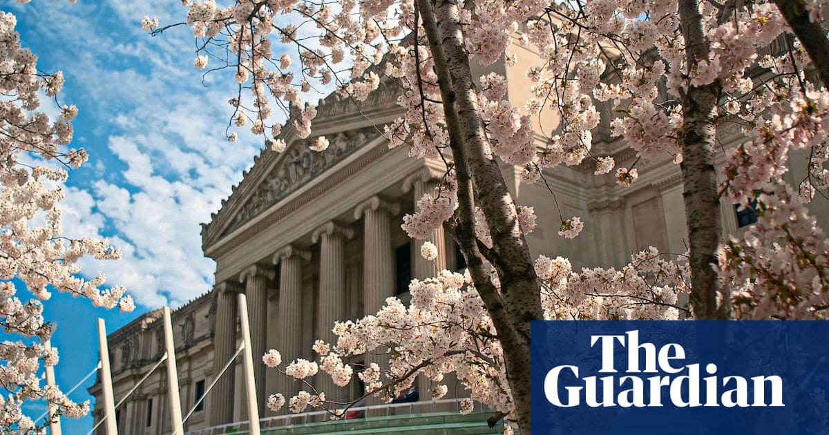 Cherryblossom.com dating site - dating group on whatsapp cherryblossom.com dating site - dating group on whatsapp