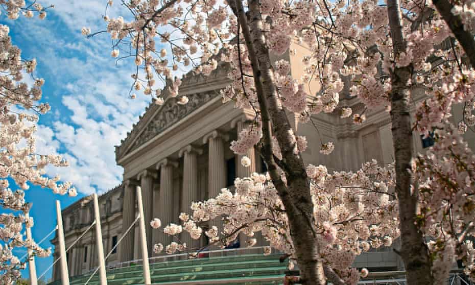 Exterior of the Brooklyn Museum, which will be home to an exhibition of feminist art called Radical Women: Latin American Art, 1960-1985 on 13 April.