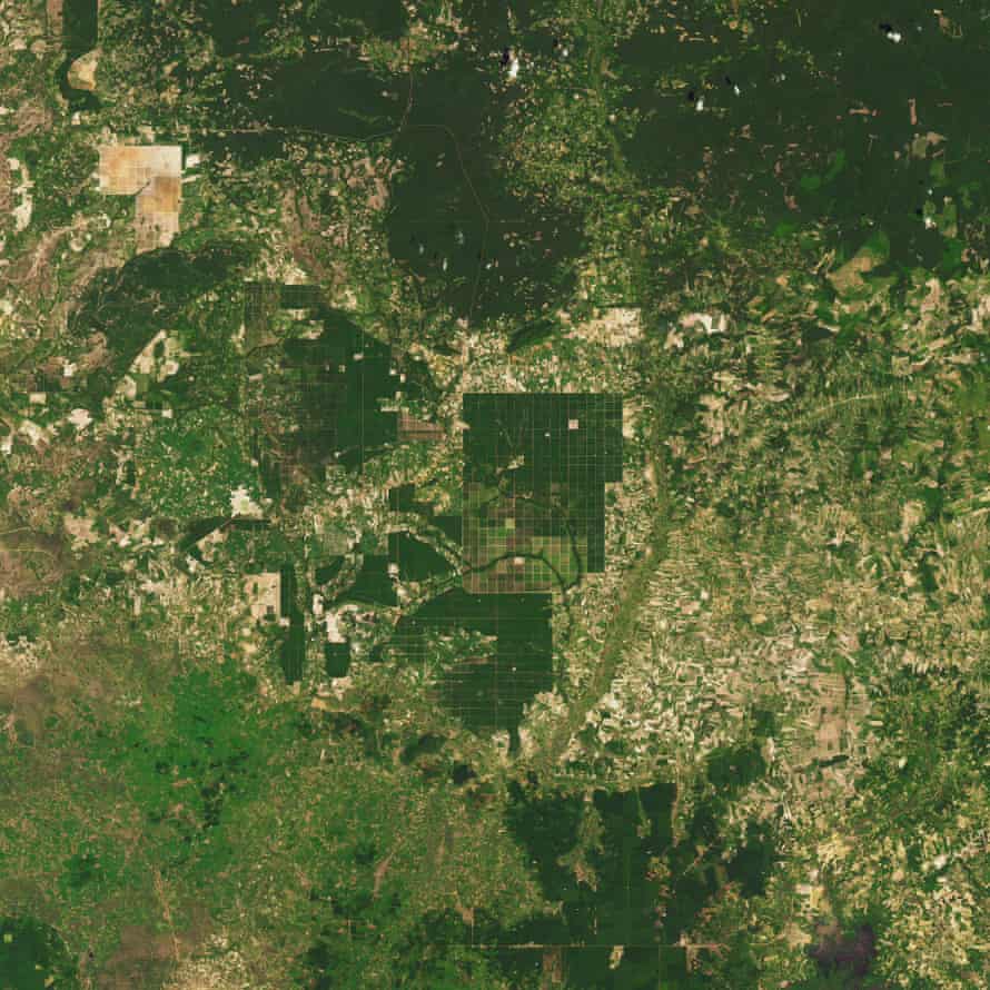 Satellite Image cambodia deforestation