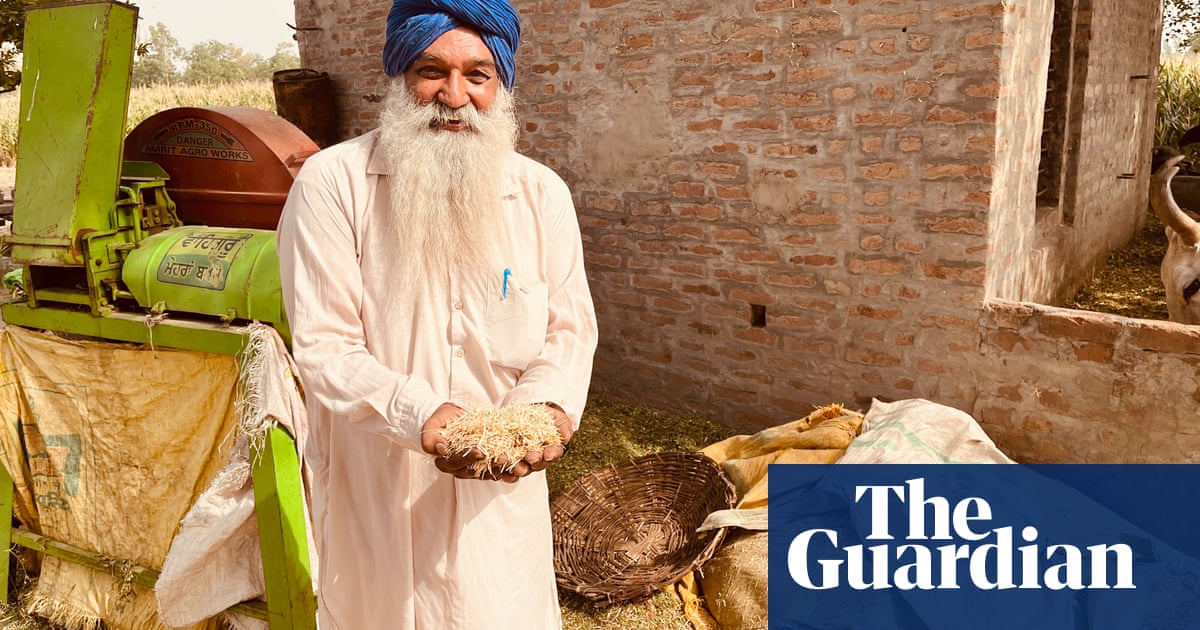 India’s wheat farmers count cost of 40C heat that evokes ‘deserts of Rajasthan’