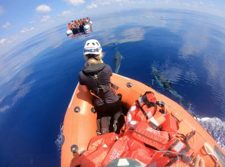 Spectacular photo of rescue carried by Banksy’s boat Crew rescuing migrants in distress approached by dolphins off Libya’s coast