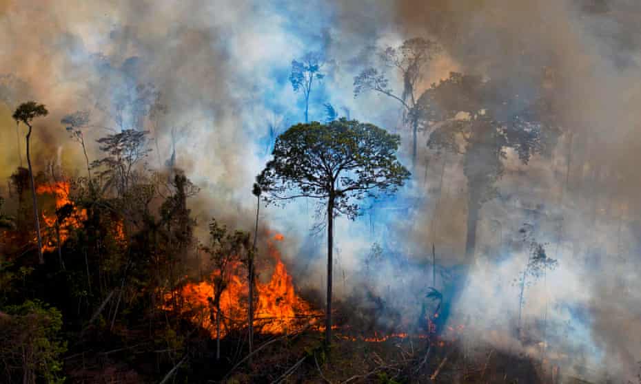 Smoke rises from an illegally lit fire in an Amazon rainforest reserve.