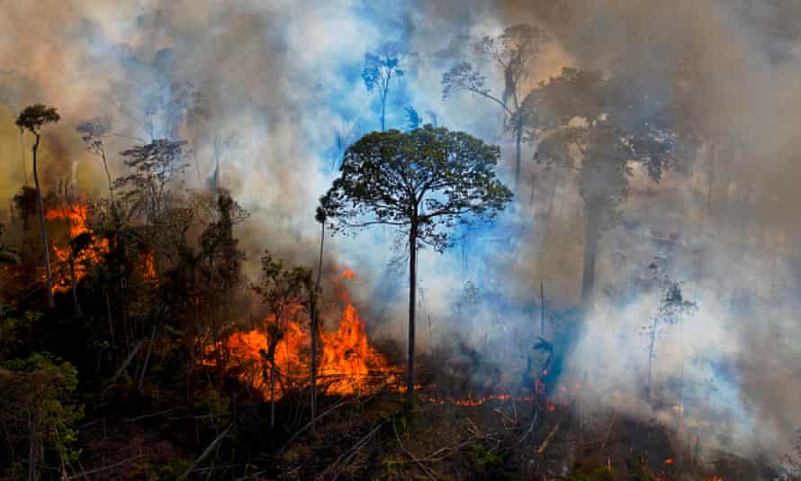 Smoke rises from an illegally lit fire in an Amazon rainforest reserve in Para State, Brazil.