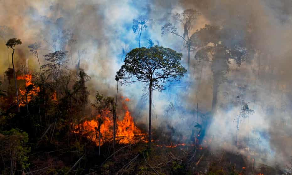 Smoke rises from an illegally lit fire in an Amazon rainforest reserve in Para State, Brazil.