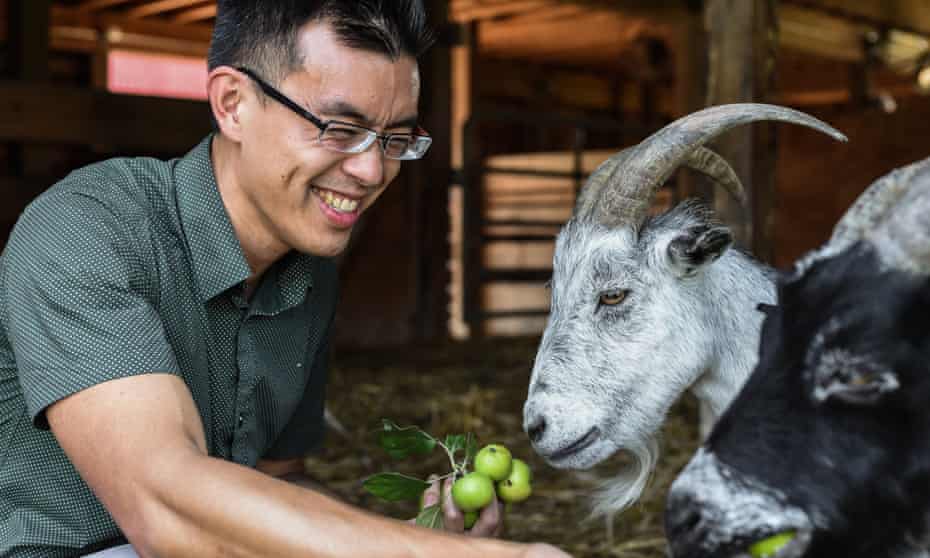 Wayne Hsiung is an American attorney and activist. Hsiung is a co-founder of the animal rights network Direct Action Everywhere (DXE). Here, he feeds apples to rescued goats at Farm Sanctuary.Farm Sanctuary hosts an annual summer “Hoe Down”, an event that draws hundreds of visitors for a weekend of education, comradery, good food, dancing, and time spent with rescued animals. Each year the event boasts a lineup of popular speakers on the topics of animal rights, activism, plant-based eating, sociology, and health. On Saturday evening, there is a country dance in the education centre. Farm Sanctuary was the first sanctuary of its kind, founded in 1986 for the purpose of rescuing and advocating for farmed animals. Learn more at https://www.farmsanctuary.org.