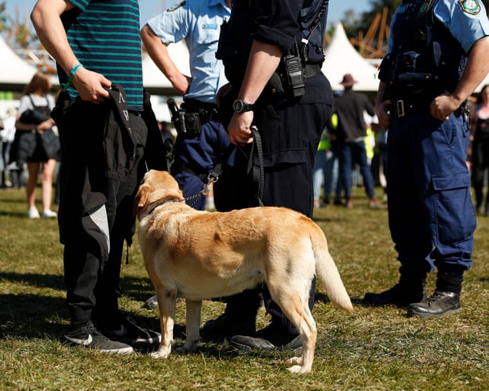 NSW urged to stop strip-searches of young people after court ruling spotlights police conduct